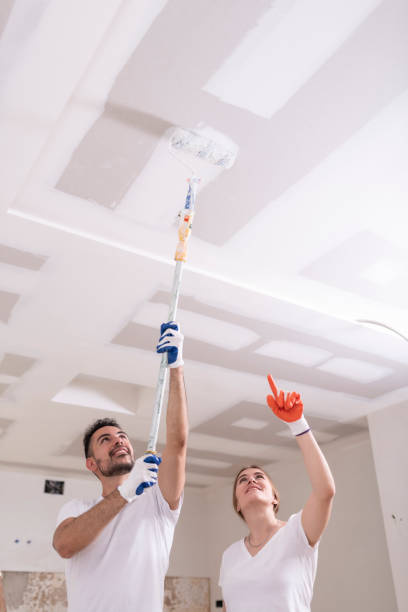 Mold Documentation for Insurance Claims in Independence, OR