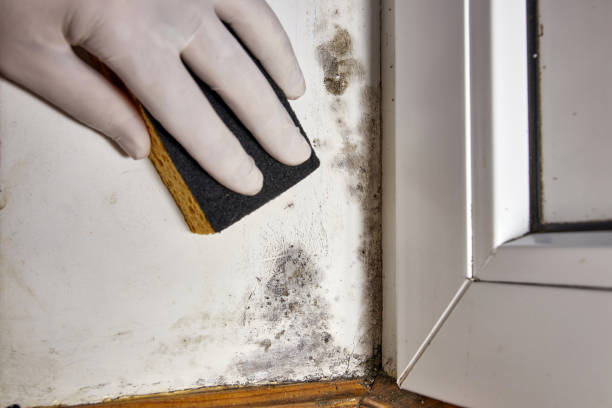 Best Indoor Air Quality Assessment  in Independence, OR